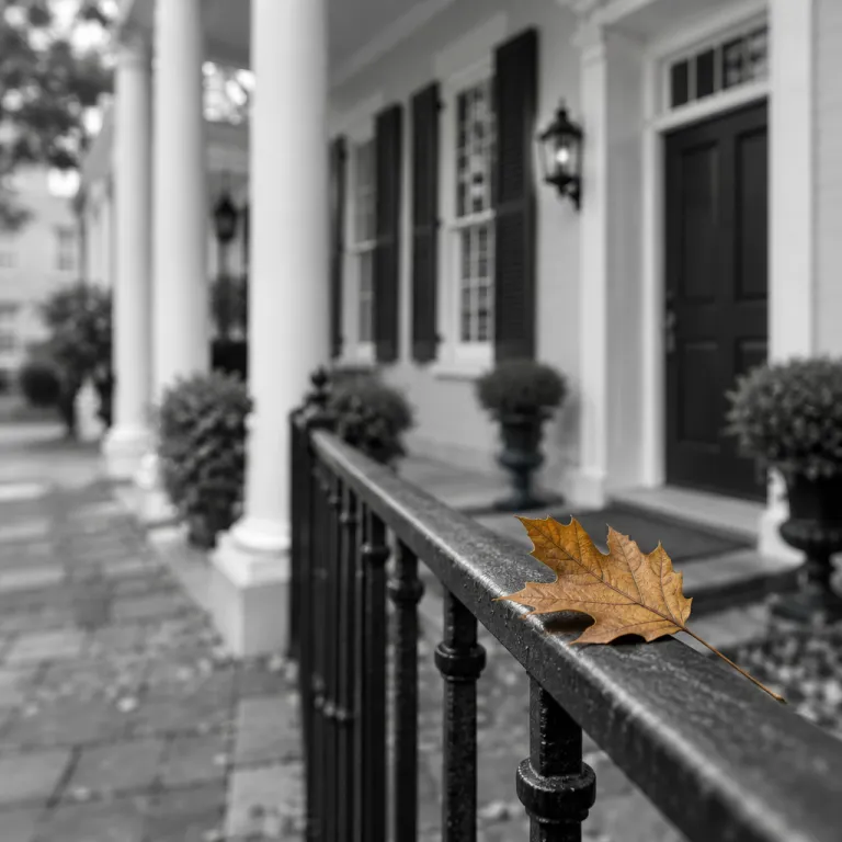 Why charleston sc in october is the most elegant season for your hotel stay