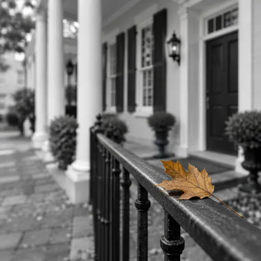 Why charleston sc in october is the most elegant season for your hotel stay